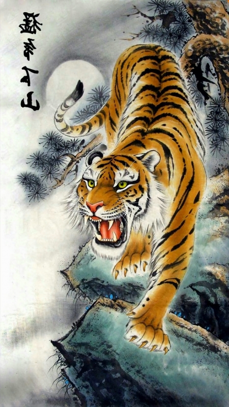 Vợ Chồng Chim Công