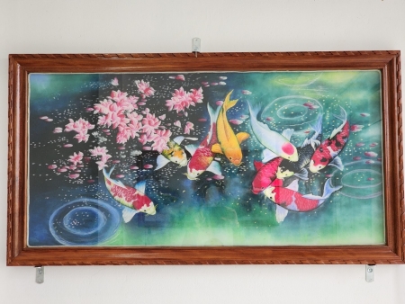 Quần Ngư Cửu Hội