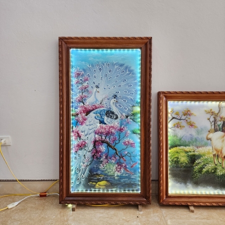 Vợ Chồng Chim Công