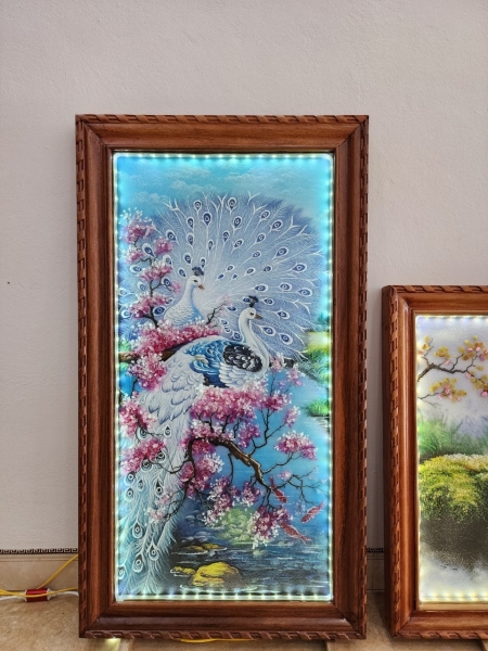 Vợ Chồng Chim Công