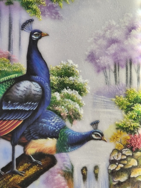 Vợ Chồng Chim Công