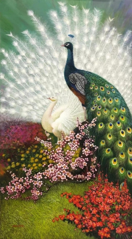 Vợ Chồng Chim Công